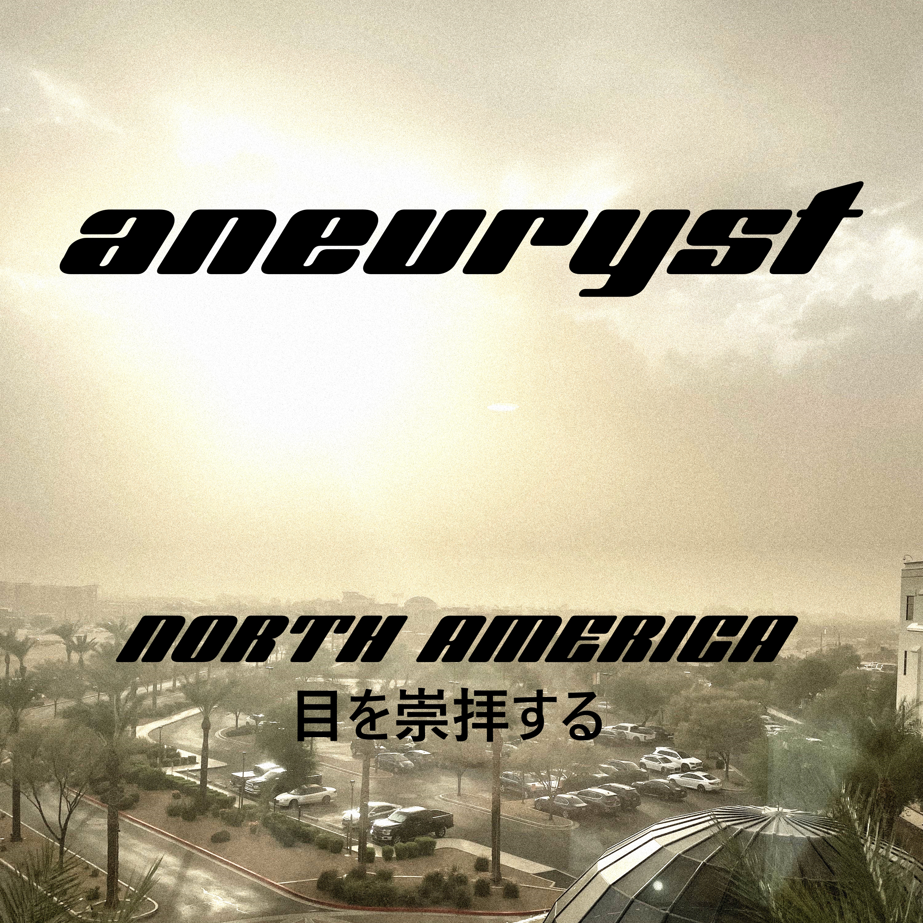 Aneuryst - Info Banner. Photo by INADRM / Joseph Corrao.